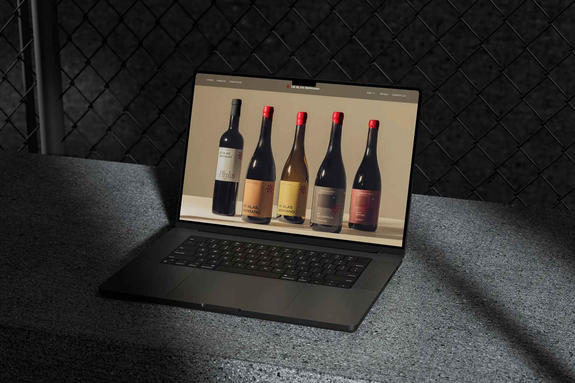 De Blas Serrano project preview