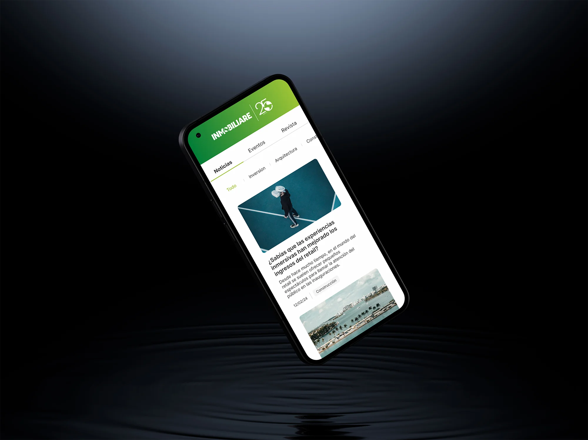 Inmobiliare project preview