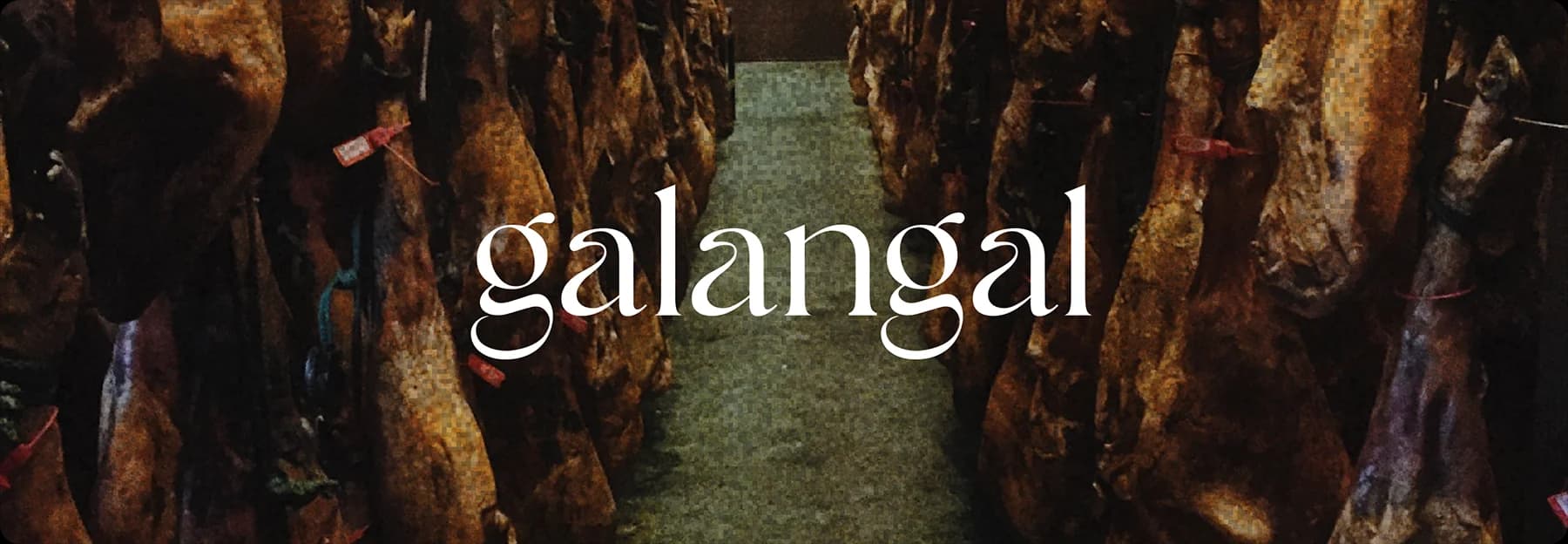 Proyecto Galangal Travel - Branding y diseño de marca