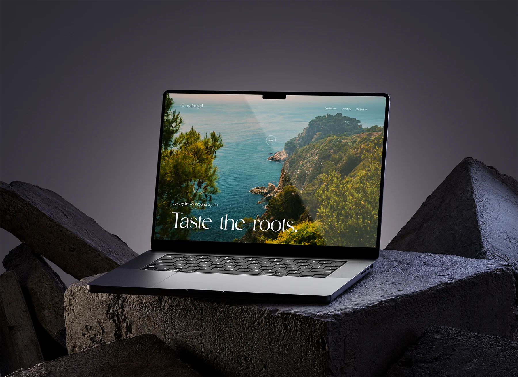 Proyecto Galangal Travel - Diseño web